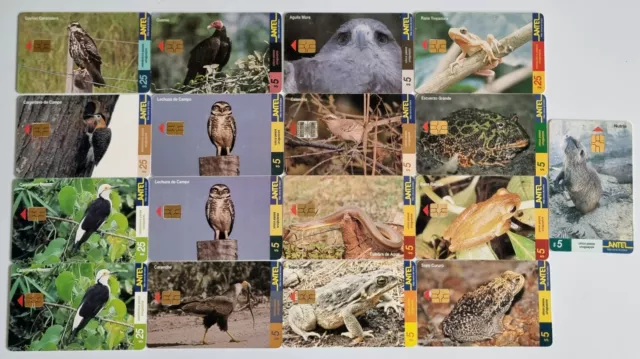Lot of 17 Uruguay Antel Chip Card Phonecard Birds Frogs Snake Nutria