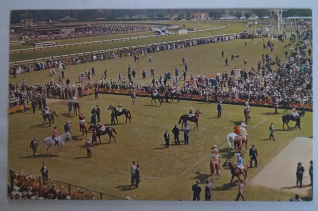 Flemington Race Course Picturesque Horse Racing Track Vic Collectable Postcard 3