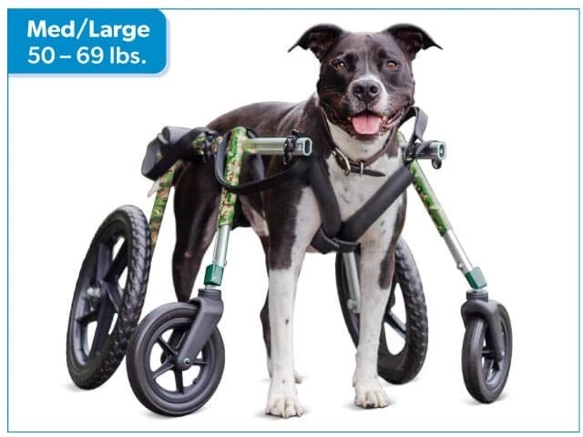 Walkin Wheels Med/Large Dog Wheelchair With Optional Full 4 Wheel Support Blue