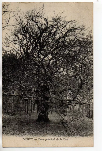 VERZY - Marne - CPA 51 - Tree - Curiosity - a fake in the forest 2