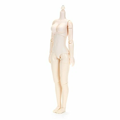 Obitsu 24BD-F02W-L  cm Obitsu Body Bust L New style Whity