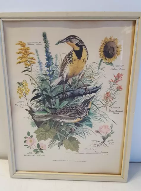 Arthur Singer Bird Print Framed #7 in Series Meadowlark Flowers Nature Art 141
