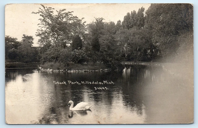 POSTCARD RPPC Hillsdale Michigan Stock Park Swan 1919 C R Childs Photo