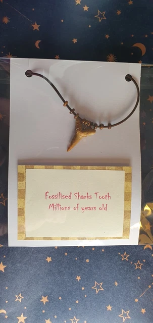 fossilised sharks tooth pendant