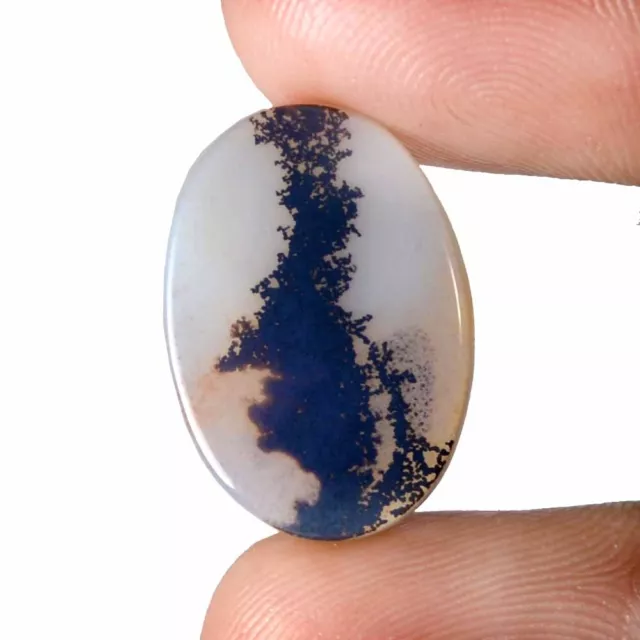 07.20 Cts 100% Natural Scenic Dendritic Agate Tree Cabochon Loose Gemstone TS34