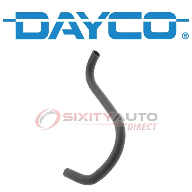 スクイーズ2点 Amazon | スクイーズ セット 動物キット 低反発おもちゃ