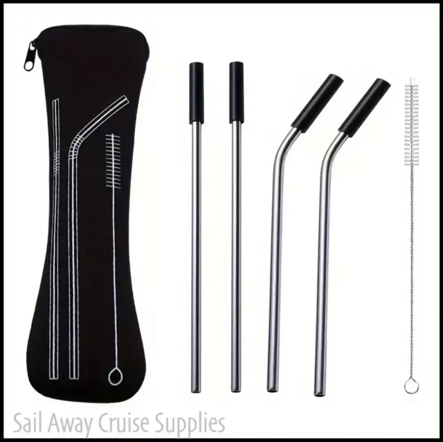 Reusable STRAWS. 5pc + Case. Stainless Steel. Metal.Drinking. Work,Travel,Cruise