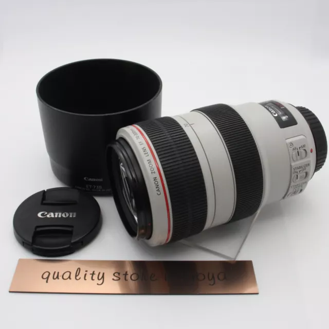 [Excellent]Canon EF 70-300 mm F/4-5.6 L IS USM Lens w/Hood