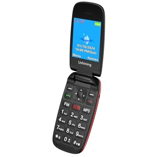 TOKVIA T201 Téléphone Portable pour Personnes âgées avec de Grandes
