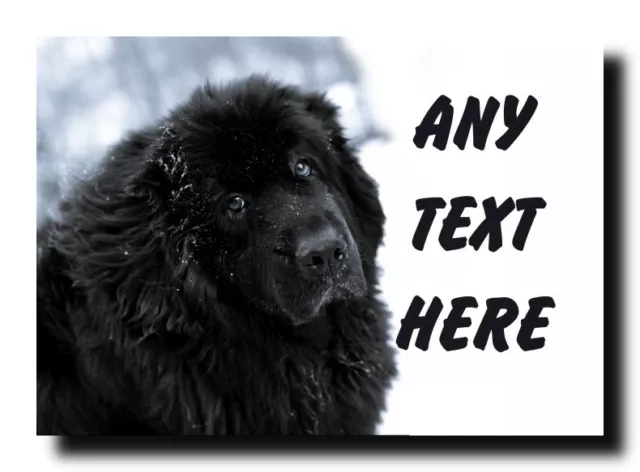 Newfoundland Dog Personalised Jumbo Magnet