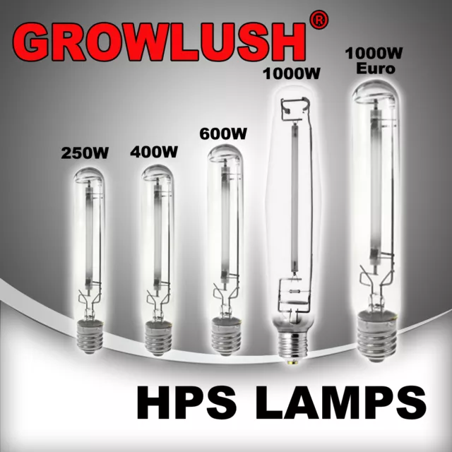 HID Grow Light bulb HPS Lamp Hydroponics Grow Light 250w 400w 600w 1000w Globes 2