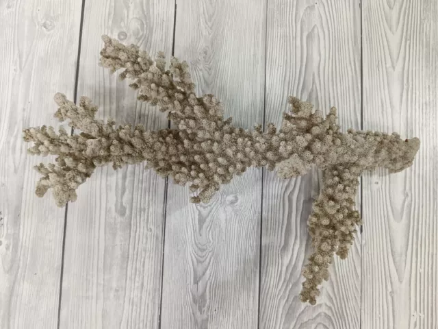 Large Natural Fossil Coral Piece Branch 33cm Long for Fish Tank Crafts etc