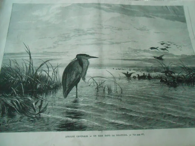Gravure 1872 - Afrique Centrale un soir dans la solitude Le Héron