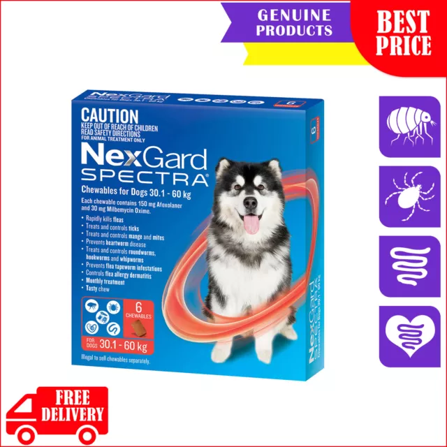 NEXGARD SPECTRA 6 Chews for 30.1 to 60 Kg Dogs RED Pack Heartworm Flea Treatment