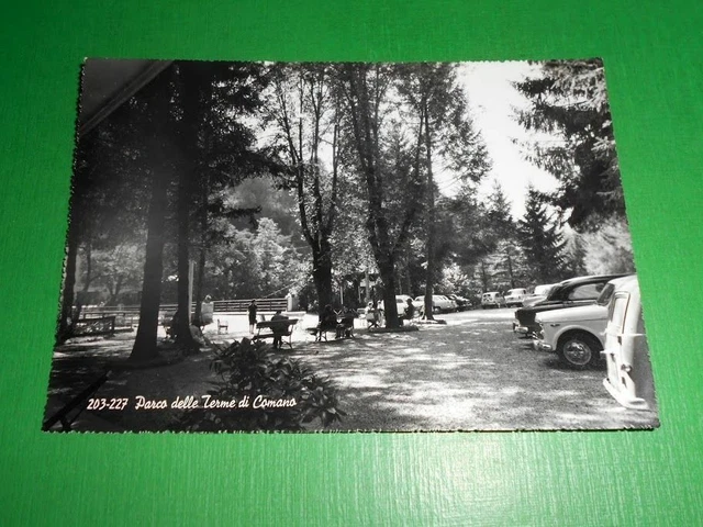 Cartolina Terme di Comano ( Trento ) - Parco 1963.