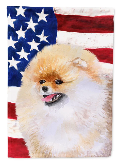 Pomeranian Patriotic Flag Canvas House Size BB9682CHF