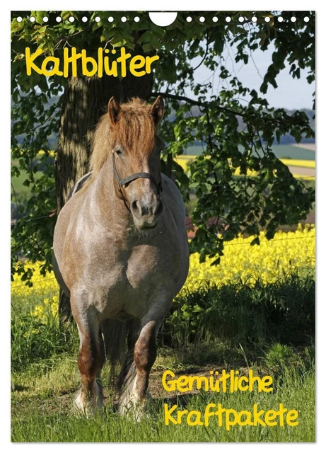 Plus de chevaux à sang chaud Inconnu Embryon in Heerde