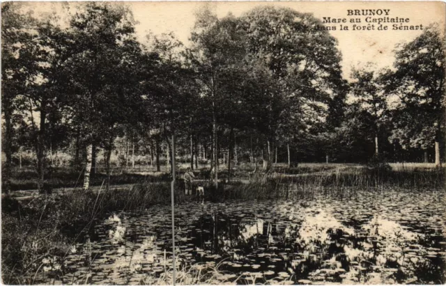 CPA BRUNOY Mare au Capitaine dans la Foret de Senart (1354295)