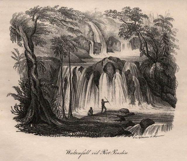 Oceanía Melanesien Bougainville Original Litografía Gjöthström 1835