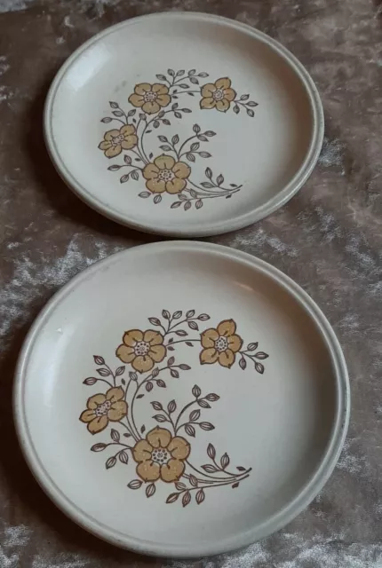 2 x Vintage Biltons Ironstone Tableware Retro Yellow Flower Side Plates 17cm tt