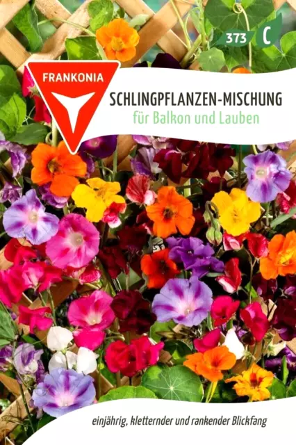 Schlingpflanzen Mischung - kletternder und rankender Blickfang - Samen Saatgut