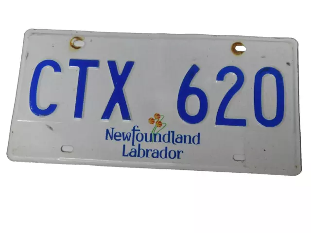 Newfoundland Labrador License Plate Picture Plant Canada Souvenir Sign Ctx 620