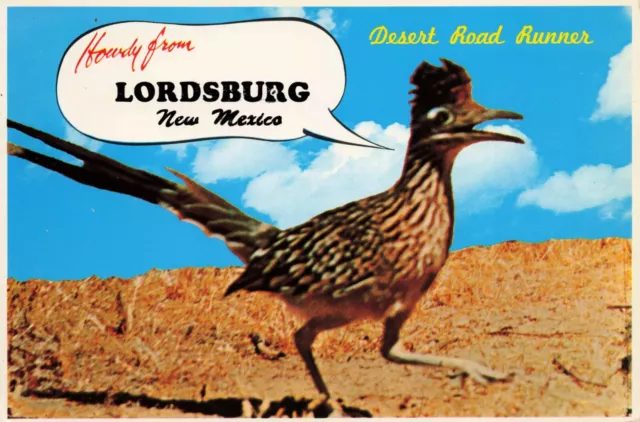 Howdy From Lordsburg New Mexico Road Runner Vintage Petley Postcard Unposted