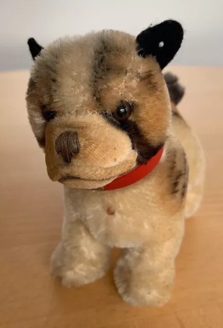 STEIFF Hund Bully mit rotem Halsband Mohair, 10 cm, 1968-1974, keine ID`s