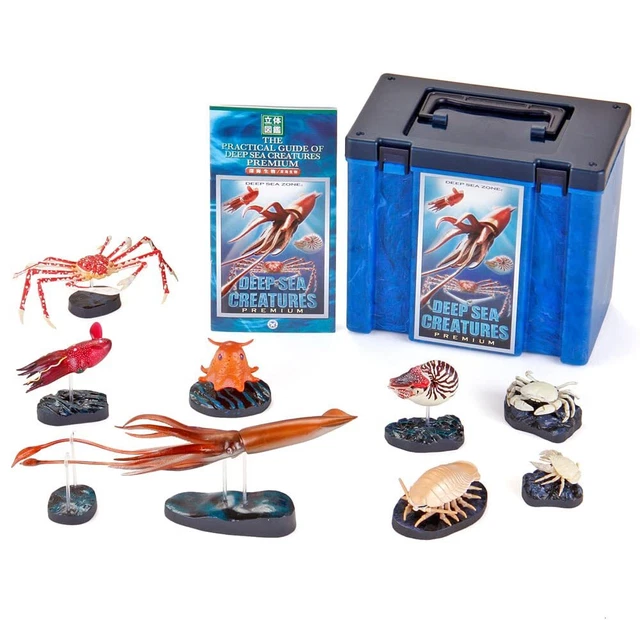 COLORATA 3D Picture Book Real Figurebox (Deep Sea Creatures / 8 Types) Giant Squ