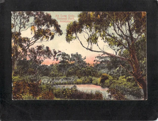C5075 Australia SA Long Gully National Park Adelaide vintage postcard