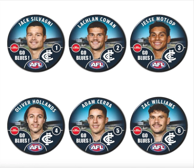【海外Ｌサイズ】AFL カールトン・ブルーズ '24 ホームガーンジー CARLTON BLUES 2024 Tom De Koning (Home) Player Issue AFL