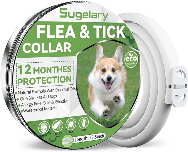 Sugelary Collare antipulci per cani 12 mesi Antiparassitario