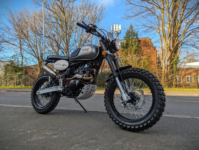 Bullit scrambler shop