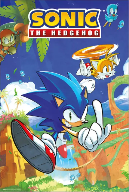 Sonic The Hedgehog - Gaming Poster (Sonic & Tails) (Size: 24" x 36")