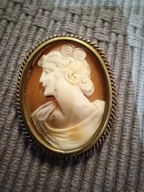 Broche Camée sur Coquillage ancien 19ème monture métal doré 38 mm x 27 mm