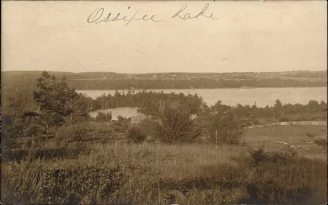 Ossipee Lake New Hampshire NH Bird's Eye View Vintage Postcard