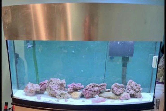 90 gallon curved aquarium fish tank Salt Water Sump Filter Freshwater NO STAND
