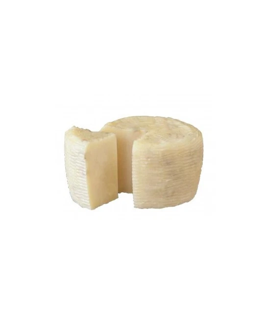 Formaggio pecorino primo sale 