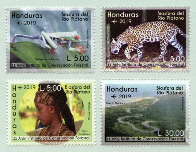 Honduras 2019 Biosphäre Rio Platano Panther Frosch Fluss Naturschutz MNH