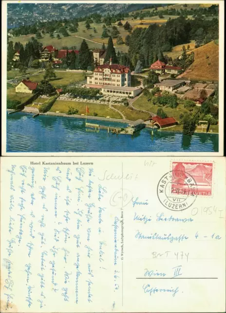 Ansichtskarte Luzern Lucerna Überflug Hotel Kastanienbaum Luftaufnahme 1954