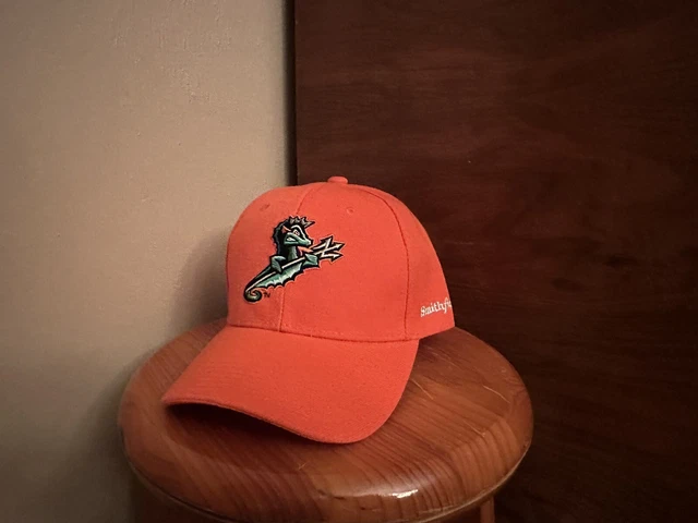 Norfolk Tides Copa Pajaritos de Norfolk 39THIRTY Large/XLarge