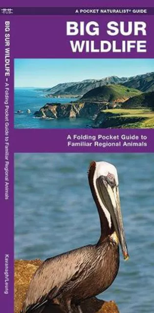 Big Sur Wildlife: A Folding Pocket Guide to Familiar Animals by James Kavanagh (