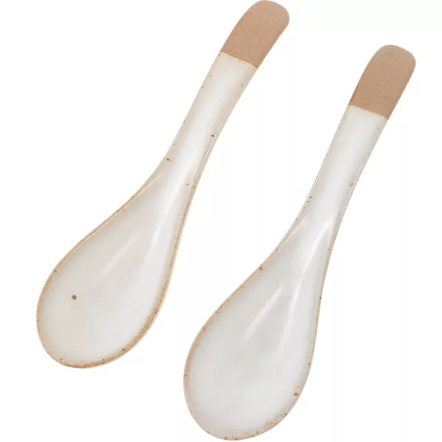 2 Pcs Asian Soup Spoons Ceramic for Ramen Pho Wonton Dumpling Miso-NJ