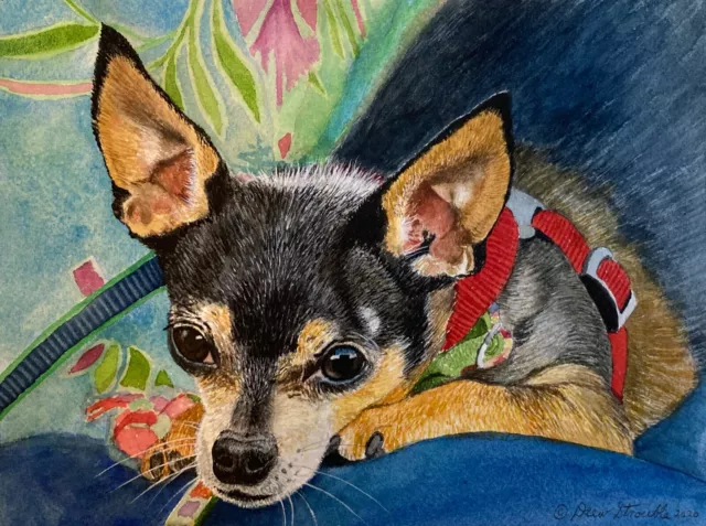 Chihuahua Art Print of Original Watercolor Painting Hand Signed by Drew Strouble