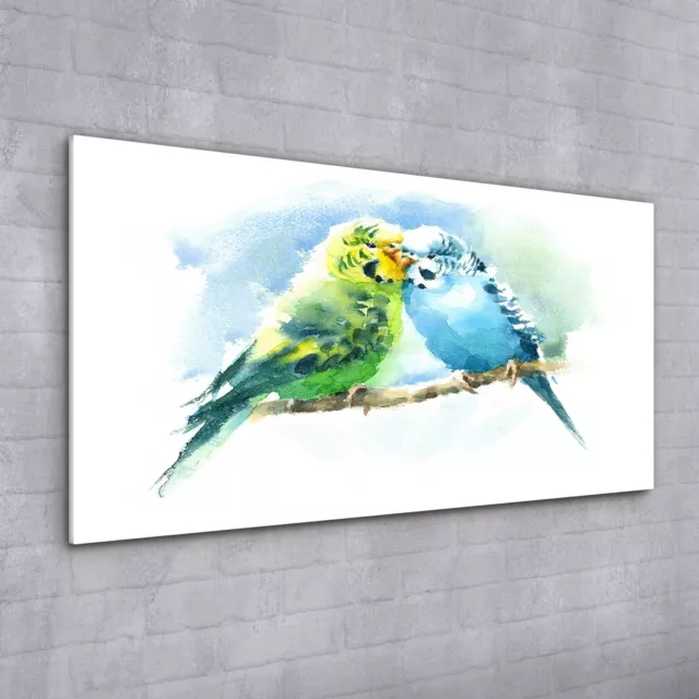 Acrylglasbild Wandbild Plexiglas 100x50 Aquarell Haustiervögel Wellensittiche