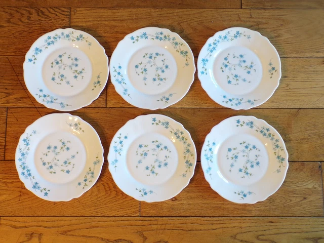 Lot De 6 Assiettes à Dessert Vintage ARCOPAL - Motif MYOSOTIS VERONICA - Fabriquées En France