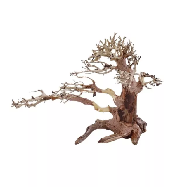 L Bonsai Árbol Nr.11369 Raíz De Madera Acuario Decoración Aquascaping Natural