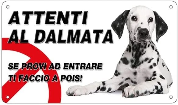 Cartello Attenti Al Cane SETTER INGLESE | Targa In Alluminio 30x20 Cm Per Recinzione E Cancello | Made In Italy Con Stampa UV - 4