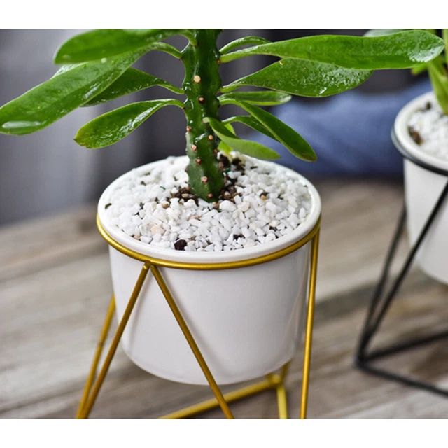 3x Porzellan Sukkulenten Pflanzer Kleine Topf Garten Keramik Blumentopf 5