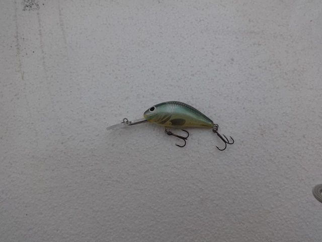 Salmo Hornet 6
